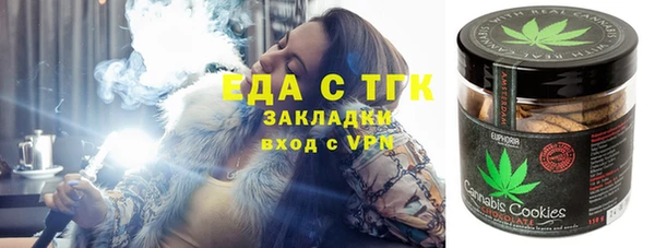 хмурый Алзамай