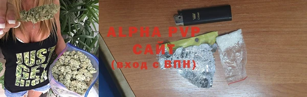 крисы Алексин