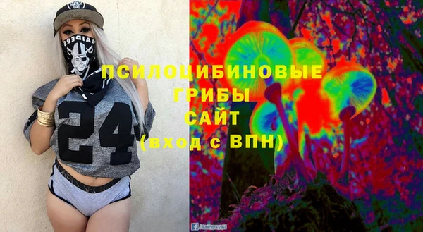 ГАЛЛЮЦИНОГЕННЫЕ ГРИБЫ Абдулино