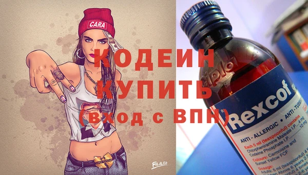 хмурый Алзамай