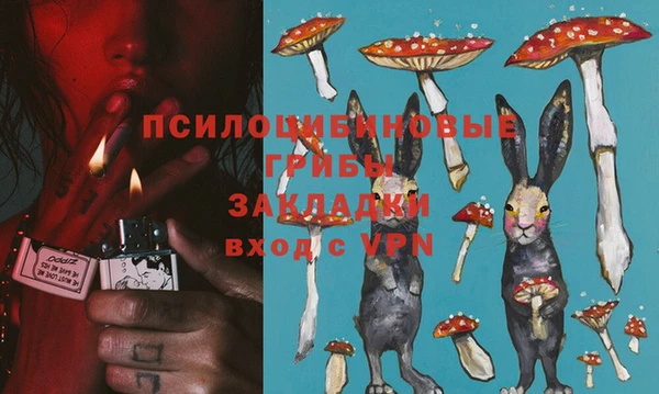 Альфа ПВП Абаза