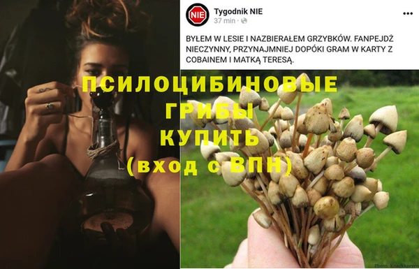 не бодяженный Алексеевка