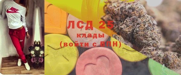 хмурый Алзамай