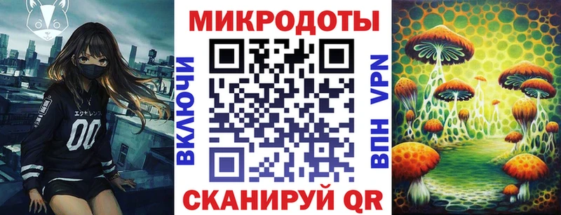 дарнет шоп  Павловский Посад  Псилоцибиновые грибы Cubensis 